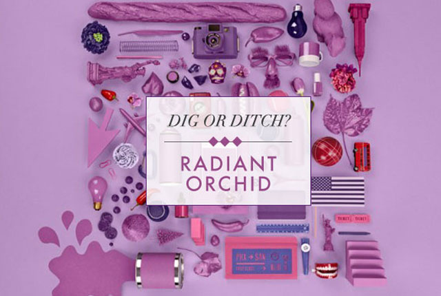 radiant orchid fashion