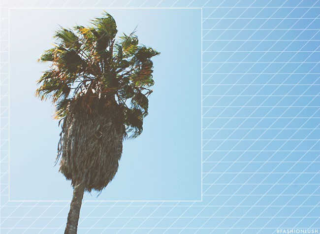 fashionlush, palm tree, overlay